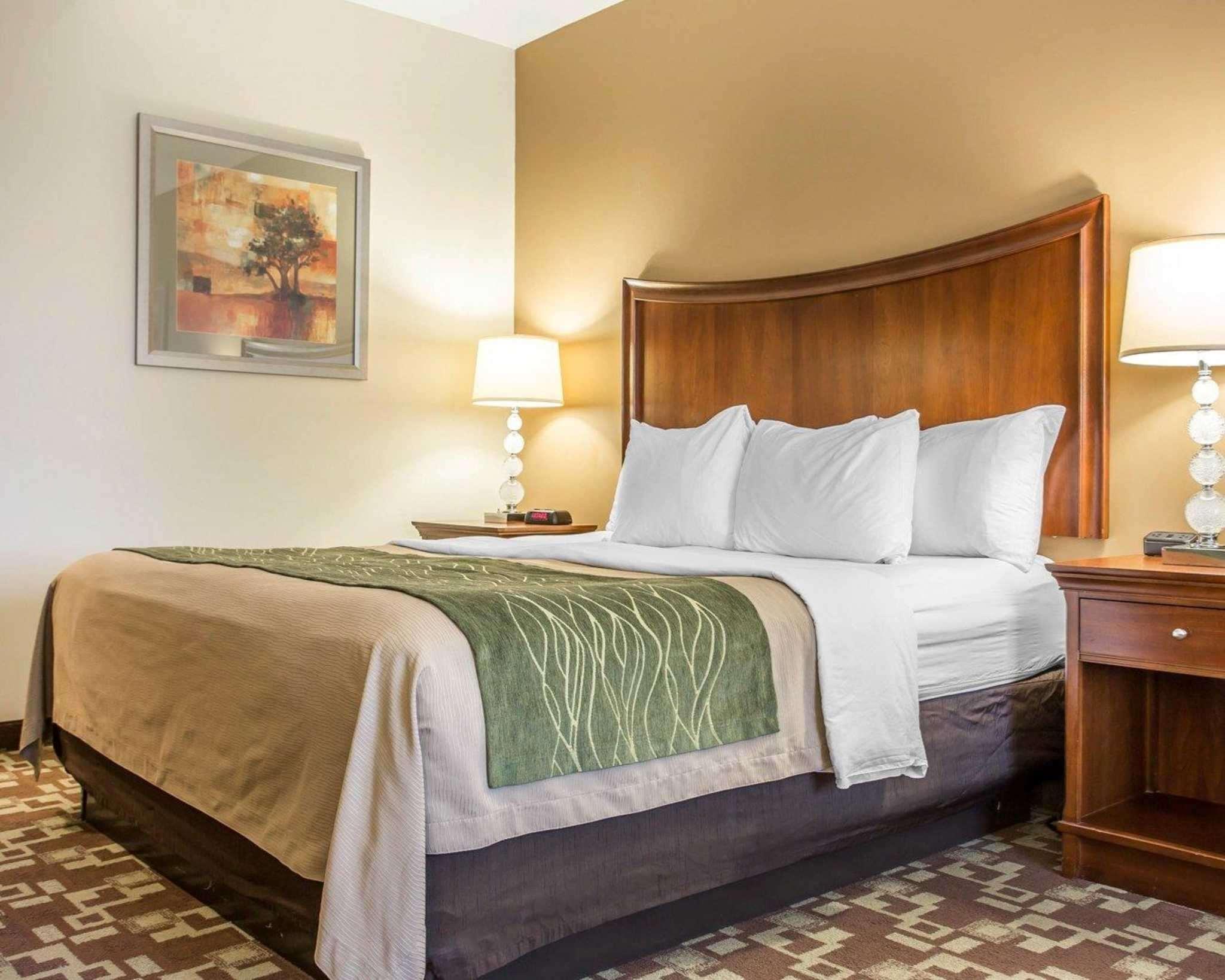 Comfort Inn & Suites Orangeburg Exteriör bild