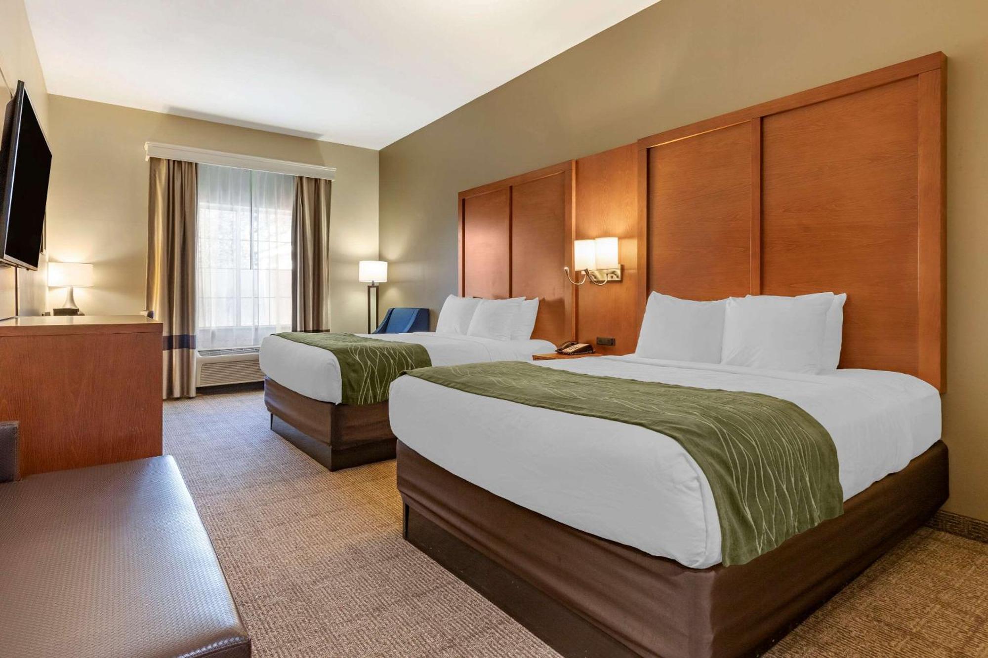 Comfort Inn & Suites Orangeburg Rum bild